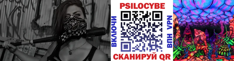 omg tor  Кириллов  Псилоцибиновые грибы прущие грибы  цена наркотик 